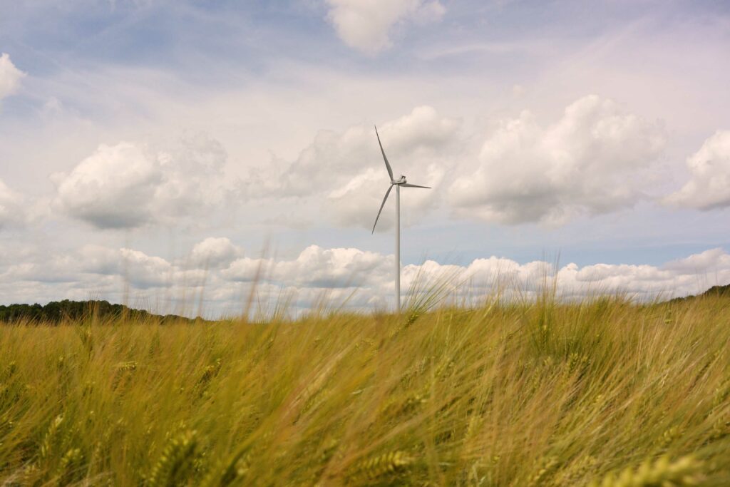 Parc éolien de Coulours - biodiversité et éolien