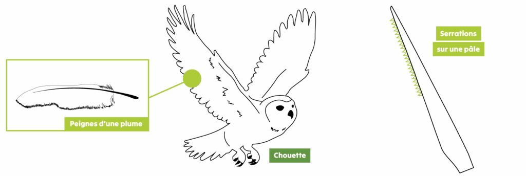 Schéma serrations - bruit des éoliennes